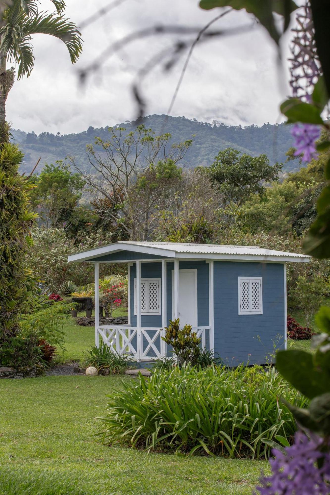 Bed and Breakfast Aquiares Coffee Farm Casa Hacienda La Esperanza Турриальба Экстерьер фото