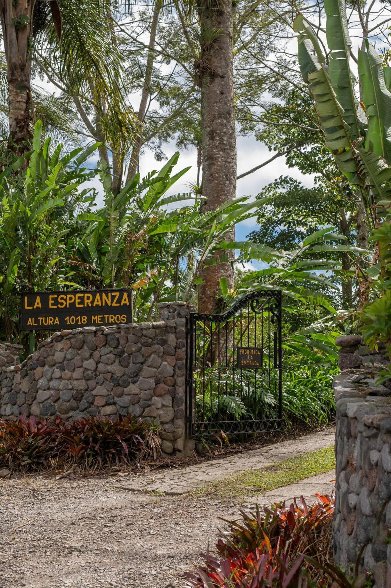 Bed and Breakfast Aquiares Coffee Farm Casa Hacienda La Esperanza Турриальба Экстерьер фото