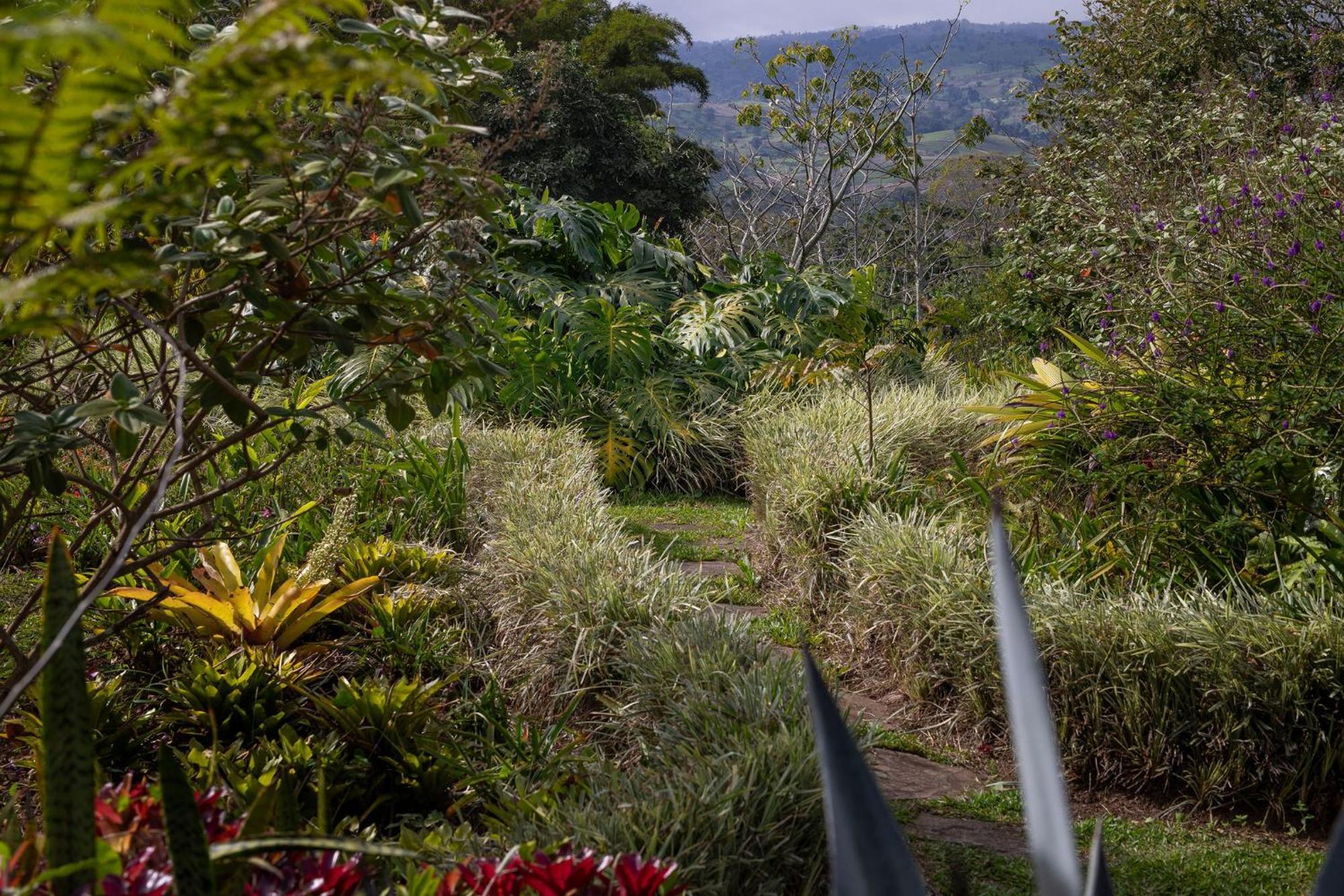 Bed and Breakfast Aquiares Coffee Farm Casa Hacienda La Esperanza Турриальба Экстерьер фото