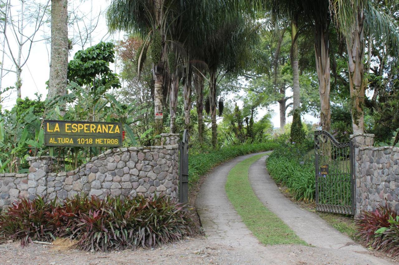 Bed and Breakfast Aquiares Coffee Farm Casa Hacienda La Esperanza Турриальба Экстерьер фото